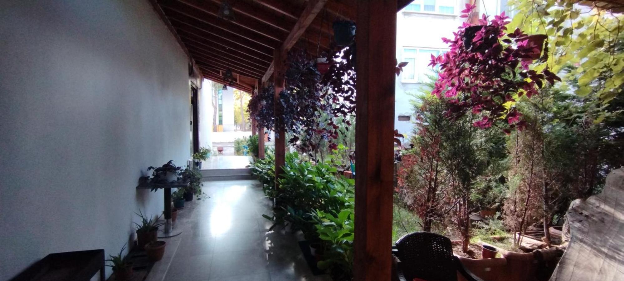 Ceneviz Suit Hotel Akçakoca Exteriér fotografie